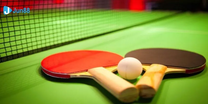 Khám phá những điều cần biết trước khi cá cược bóng bàn