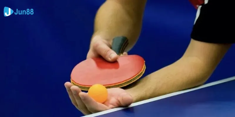 Hướng dẫn cách đọc kèo cá cược bóng bàn một cách chính xác