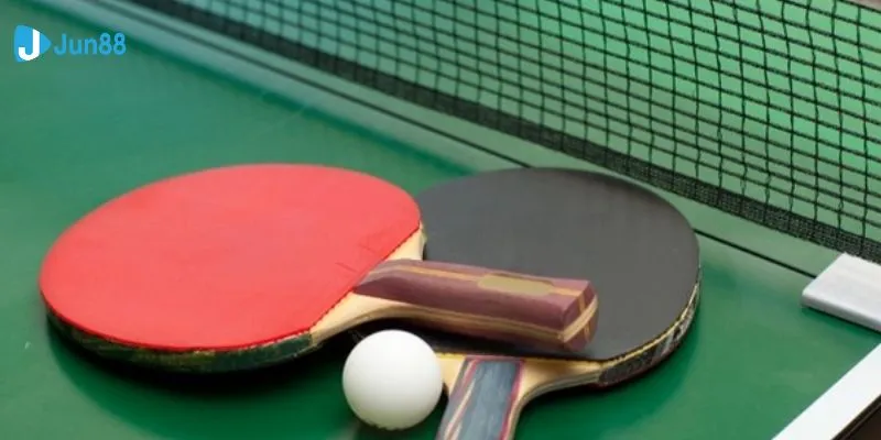 Tìm hiểu tất tần tật các chiến thuật cá cược thành công