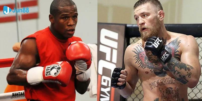 Một số điều cơ bản về cá cược quyền anh