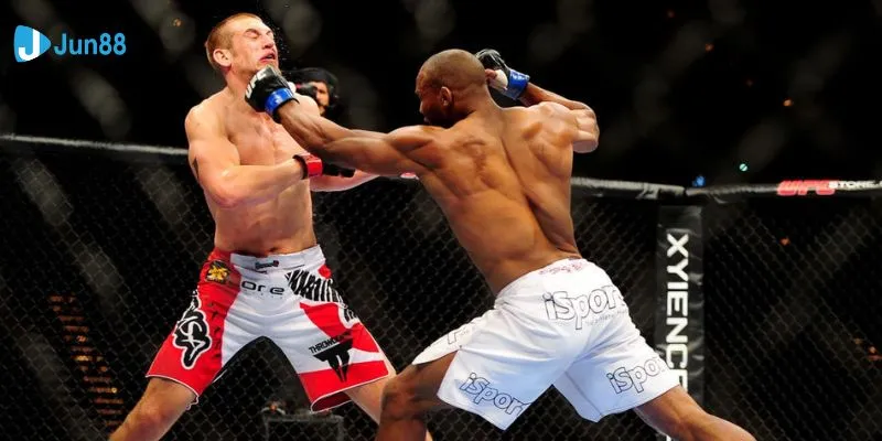 Tổng hợp các loại hình cá cược quyền anh phổ biến