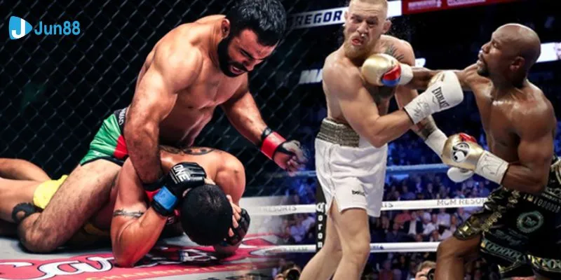 Tuyệt chiêu chọn lựa trận đấu quyền anh để cá cược thành công