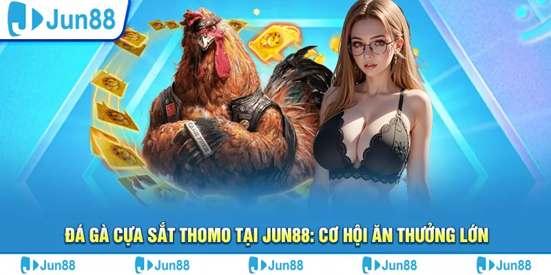 Đá gà cựa sắt Thomo tại Jun88: Cơ hội ăn thưởng lớn