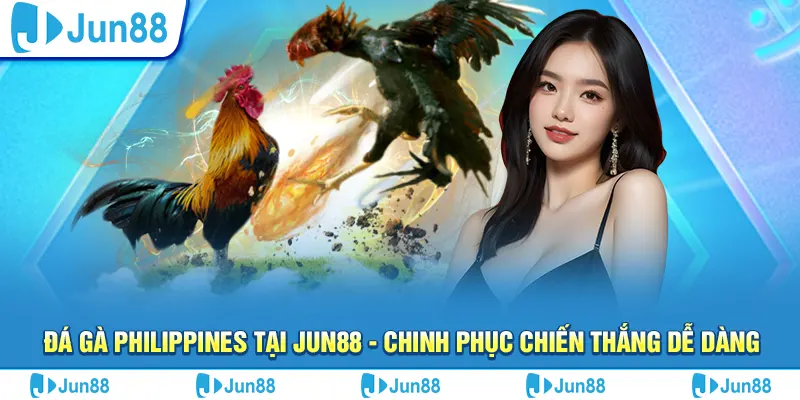 Đá gà Philippines tại Jun88 - Chinh phục chiến thắng dễ dàng