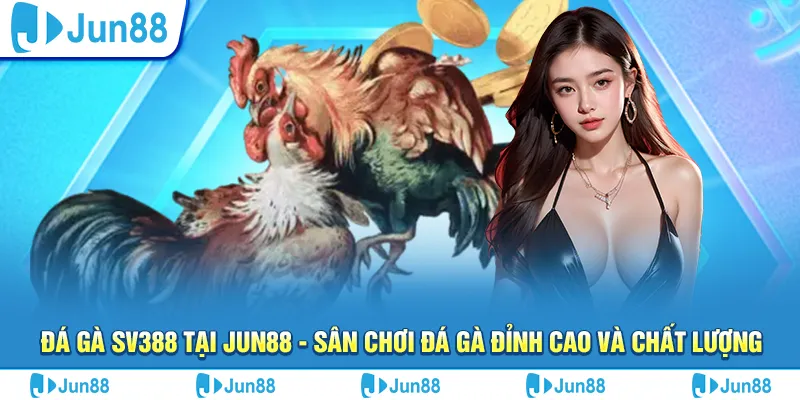 da ga sv388 tai jun88 san choi da ga dinh cao va chat luong