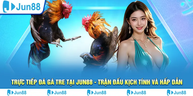 truc tiep da ga tre tai jun88 tran dau kich tinh va hap dan