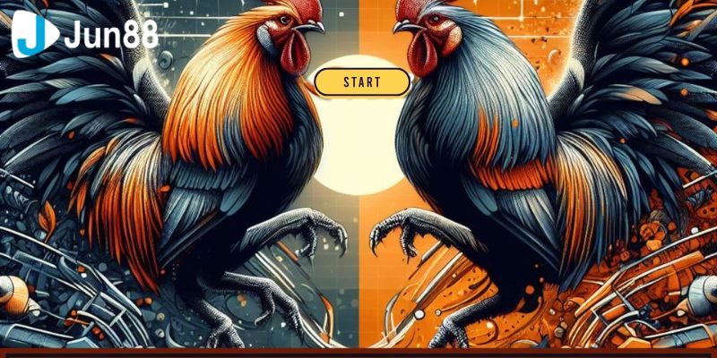 Đấu Trường Đá Gà VSS388 Sôi Động Bậc Nhất Hiện Nay 4 Hướng dẫn bạn cách tham gia chơi cực đơn giản