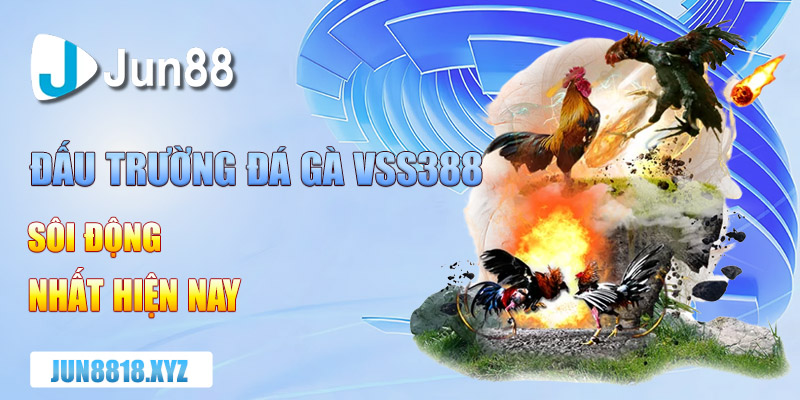 dau truong da ga vss388 soi dong nhat hien nay 1