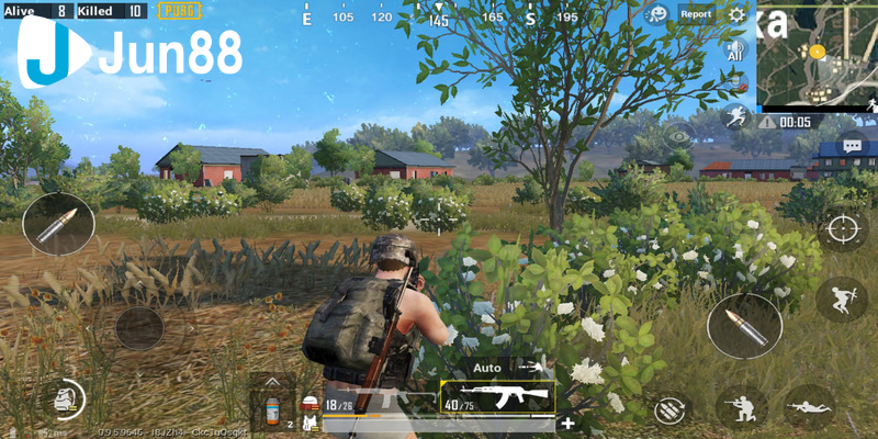 Đánh giá các nhà cái lớn cung cấp cá cược.