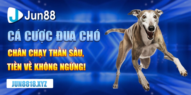 ca cuoc dua cho – chan chay than sau tien ve khong ngung