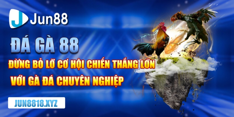 đá gà 88