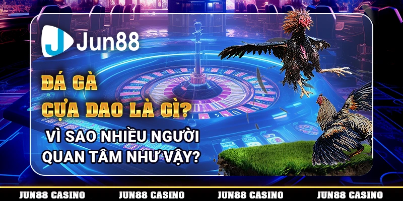 Đá gà cựa dao là gì? Vì sao nhiều người quan tâm như vậy?