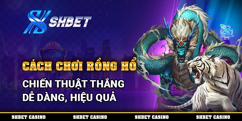 Cách Chơi Rồng Hổ - Chiến Thuật Thắng Dễ Dàng, Hiệu Quả 1 cách chơi rồng hổ