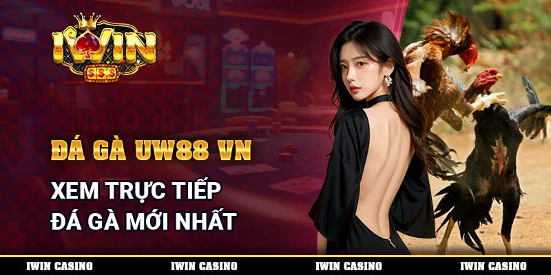 Đá Gà Uw88 Vn - Xem Trực Tiếp Đá Gà Mới Nhất Cùng Nhà Cái