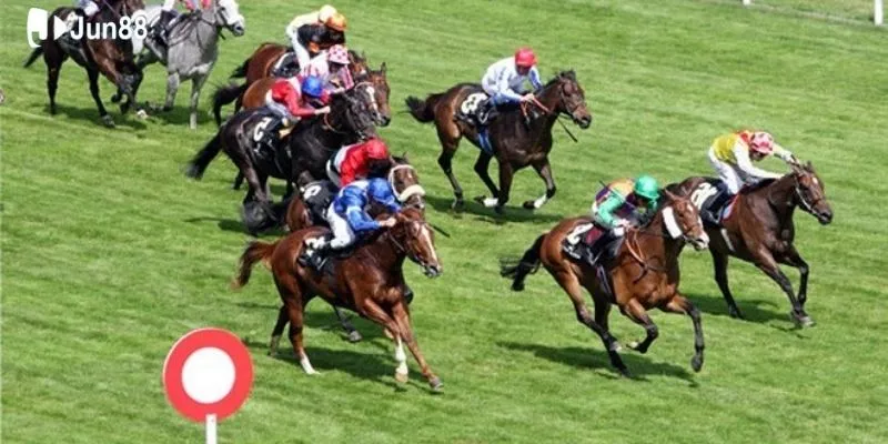 Chiến thuật hay trong mẹo thắng đua ngựa