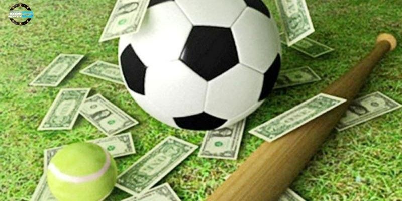 anh 3 2025 02 08T013436.405