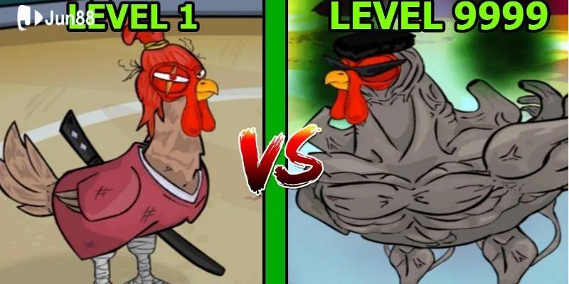 Nguồn gốc hình thành