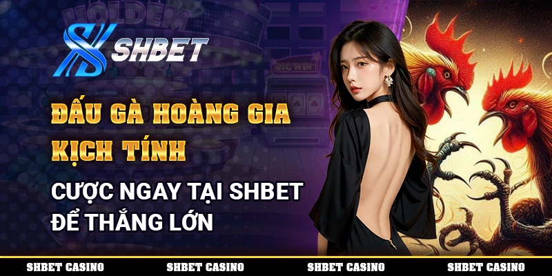 Đấu Gà Hoàng Gia