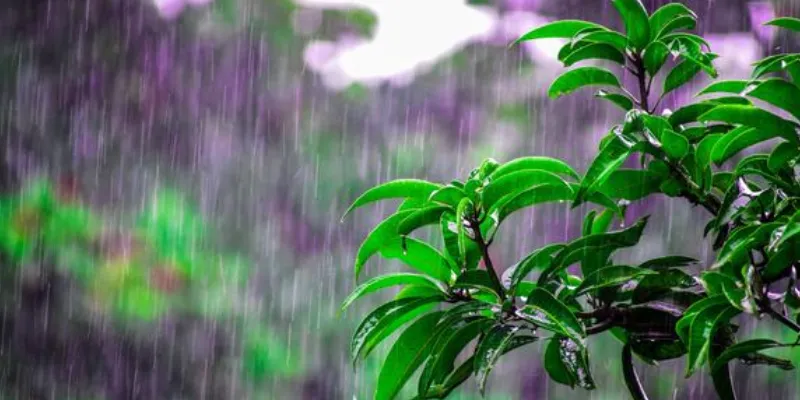 Nằm mơ thấy mưa - Bật mí con số may mắn liên quan 4 Các số đề dễ trúng khi nằm mơ về mưa