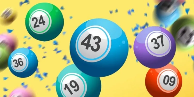 Độc thủ đề miền Bắc – Ý nghĩa và cách phân biệt