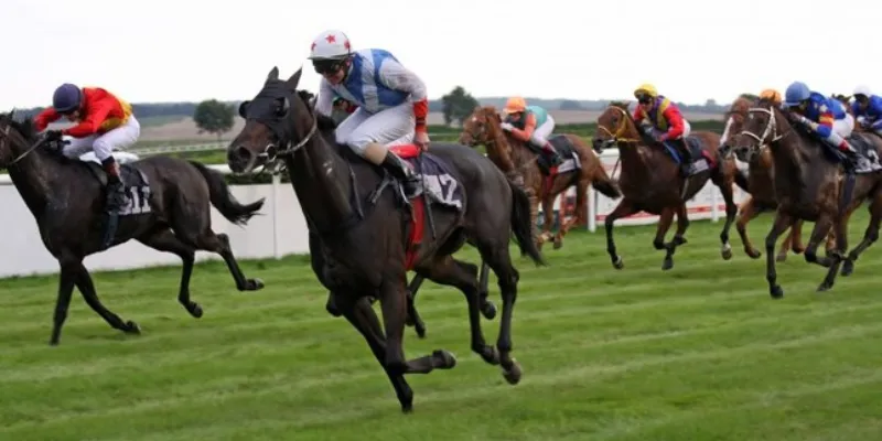 Cách chơi Andar Bahar để thắng liên tục là gì?