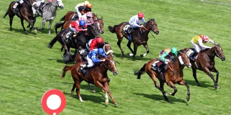 Tìm hiểu về tỷ lệ cược và xác suất trong Andar Bahar