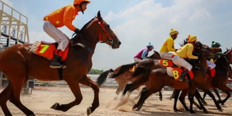 Giải thích chi tiết luật chơi Andar Bahar